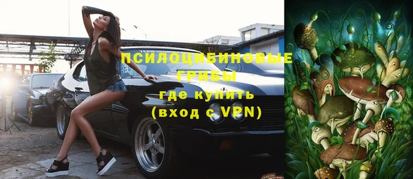 шишки Протвино