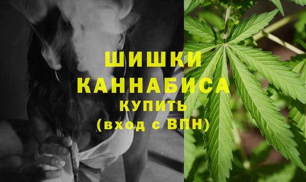 шишки Протвино